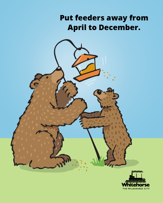 bird feeder