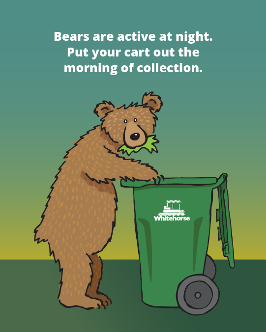 cart out in morning