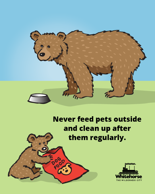 pet food